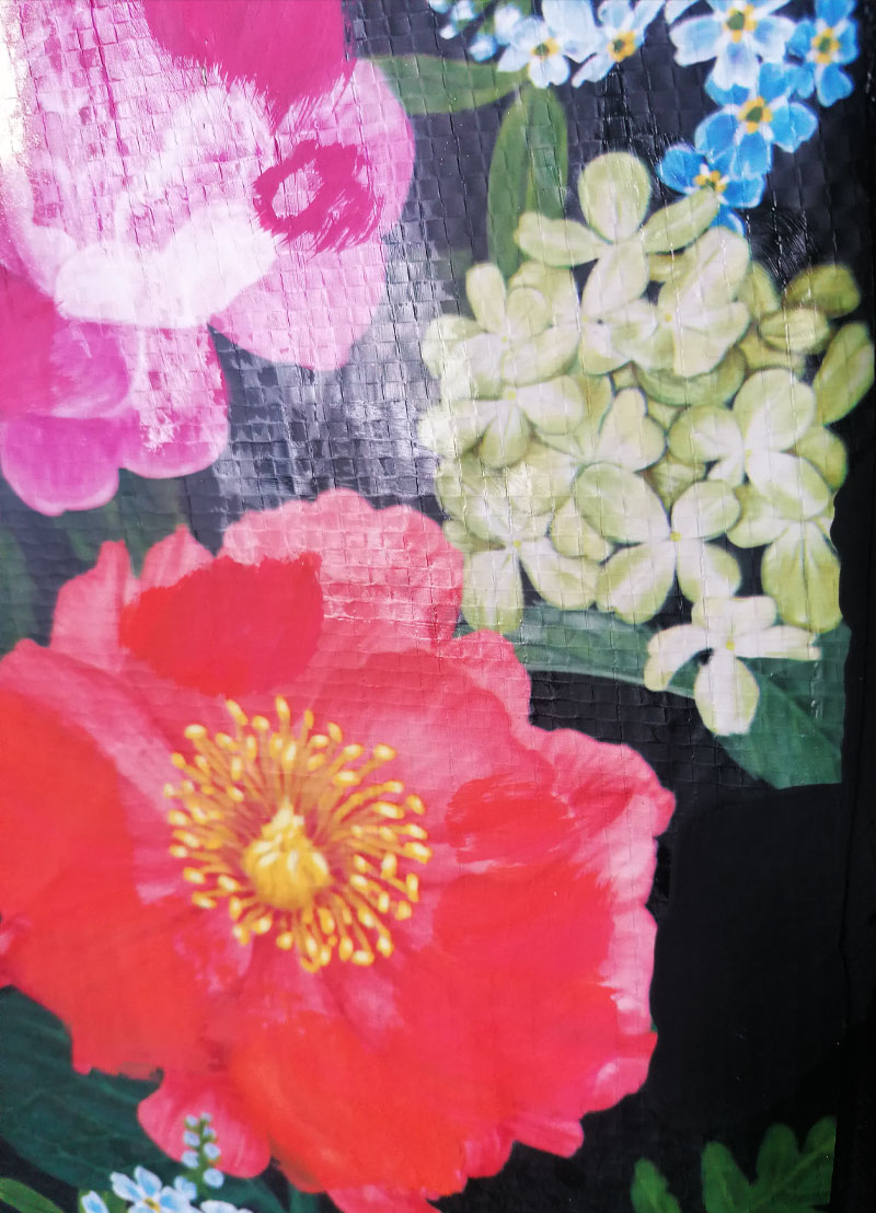 BLOOM - WILD